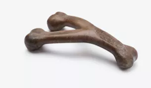 Benebone Wishbone Chicken