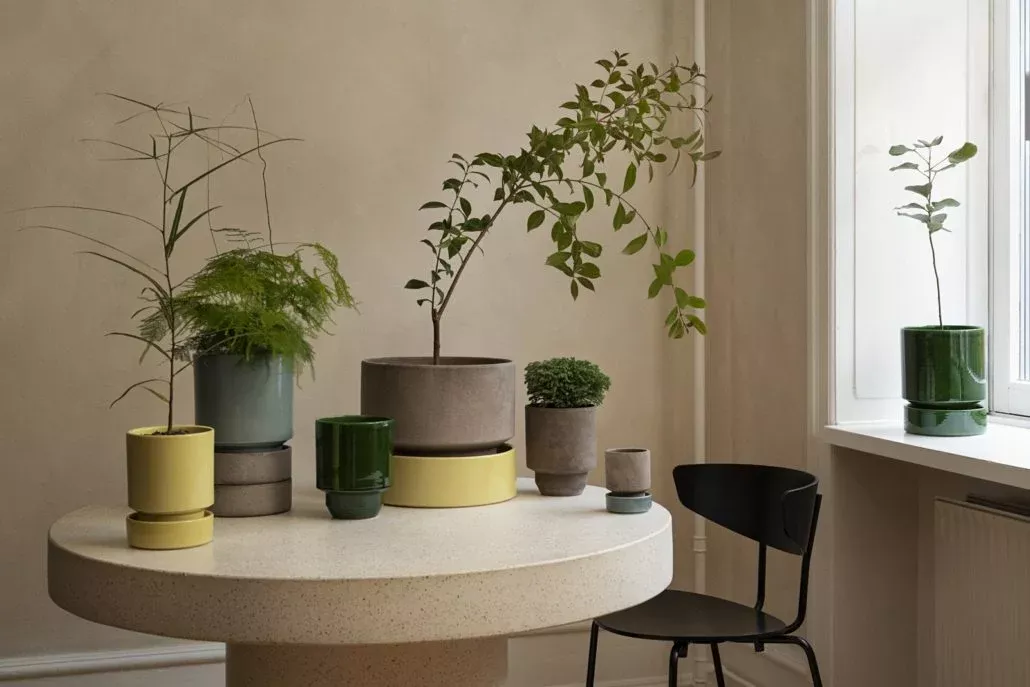 Bergs 'Hoff' Pot w/ Saucer