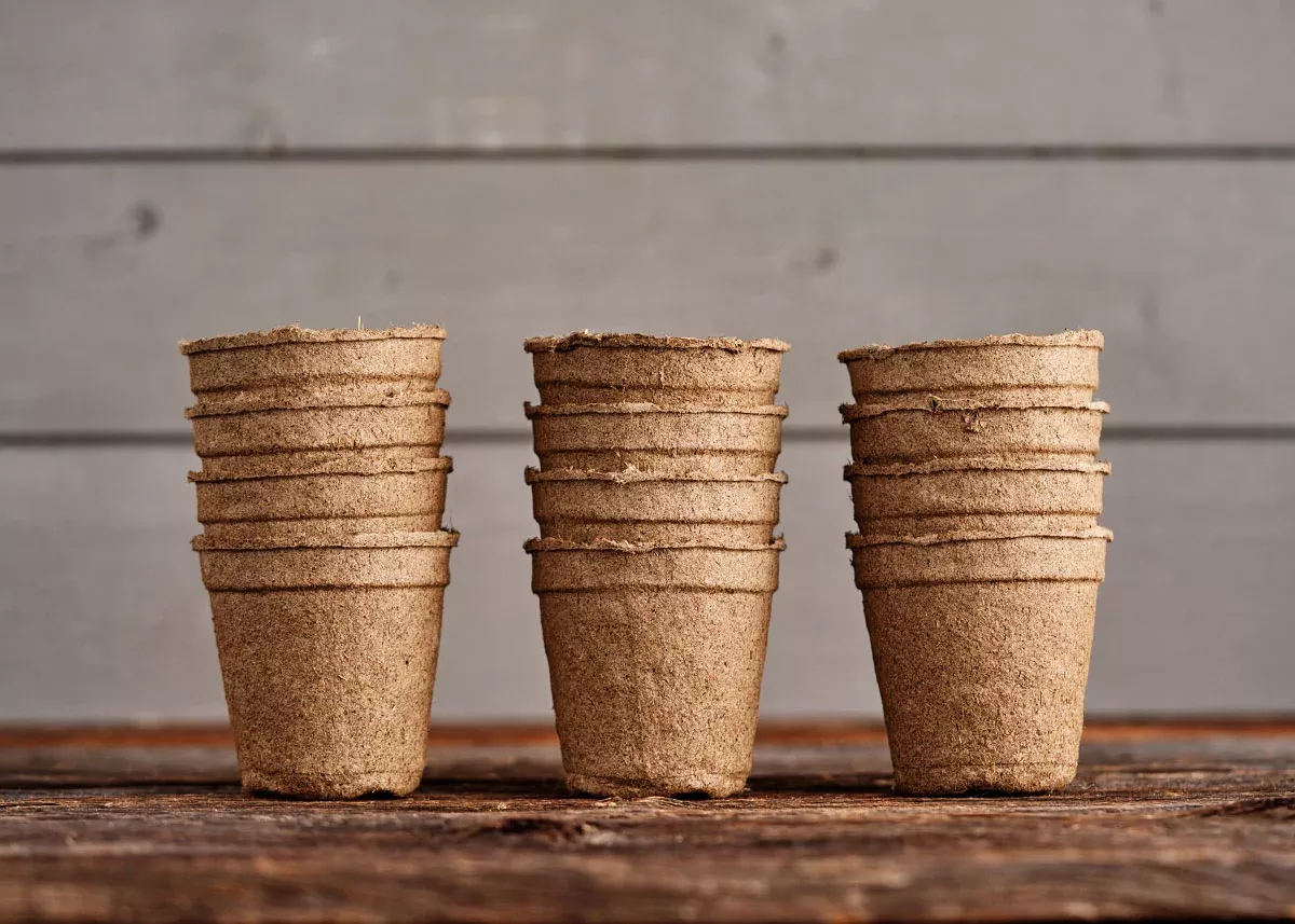 Biodegradable Garden Pots - 3" Round CowPots – 12 Pots
