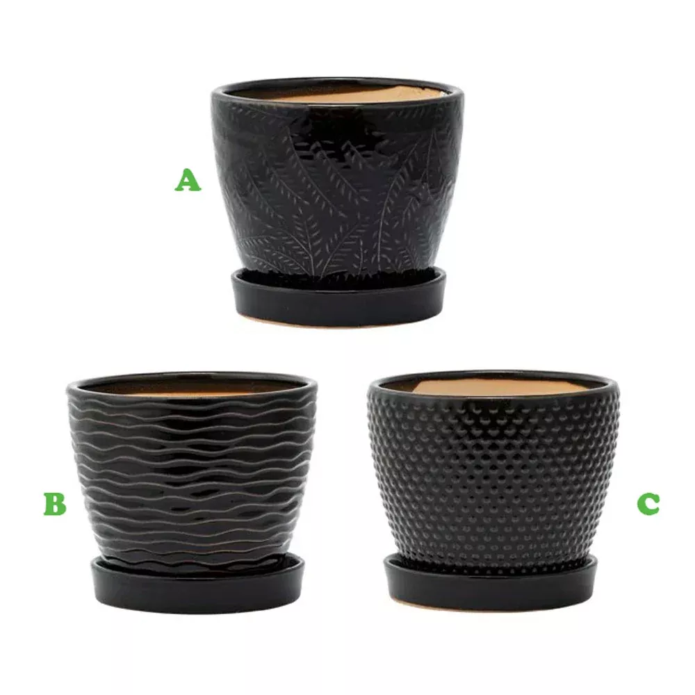 Black Planter With Saucer, 5", Assorted and Sold Separately | Napco