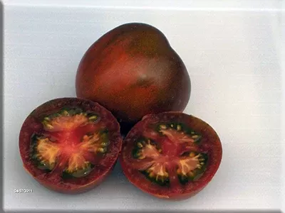 Black Prince Tomato