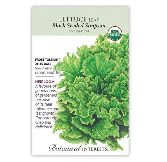 Black Seeded Simpson Leaf Lettuce Seeds