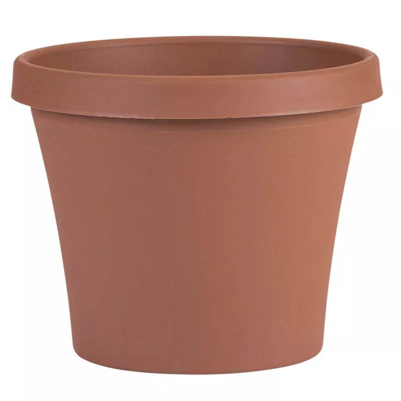 Bloem Terra Plastic Planter, Terra Cotta, 12 in.