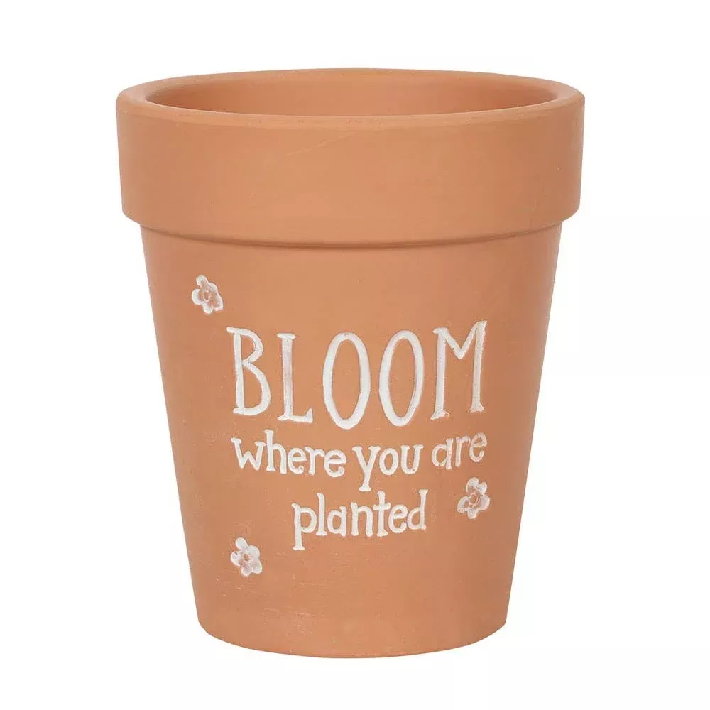 Bloom Where You Are Planted Plant Pot