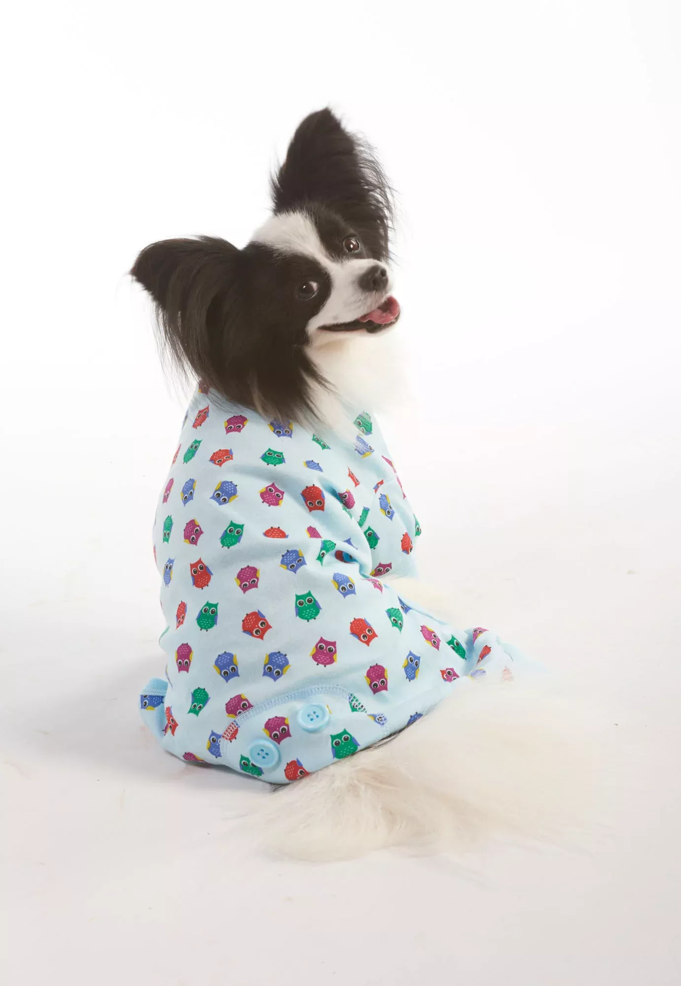 Blue Owl Print PJ's, Medium