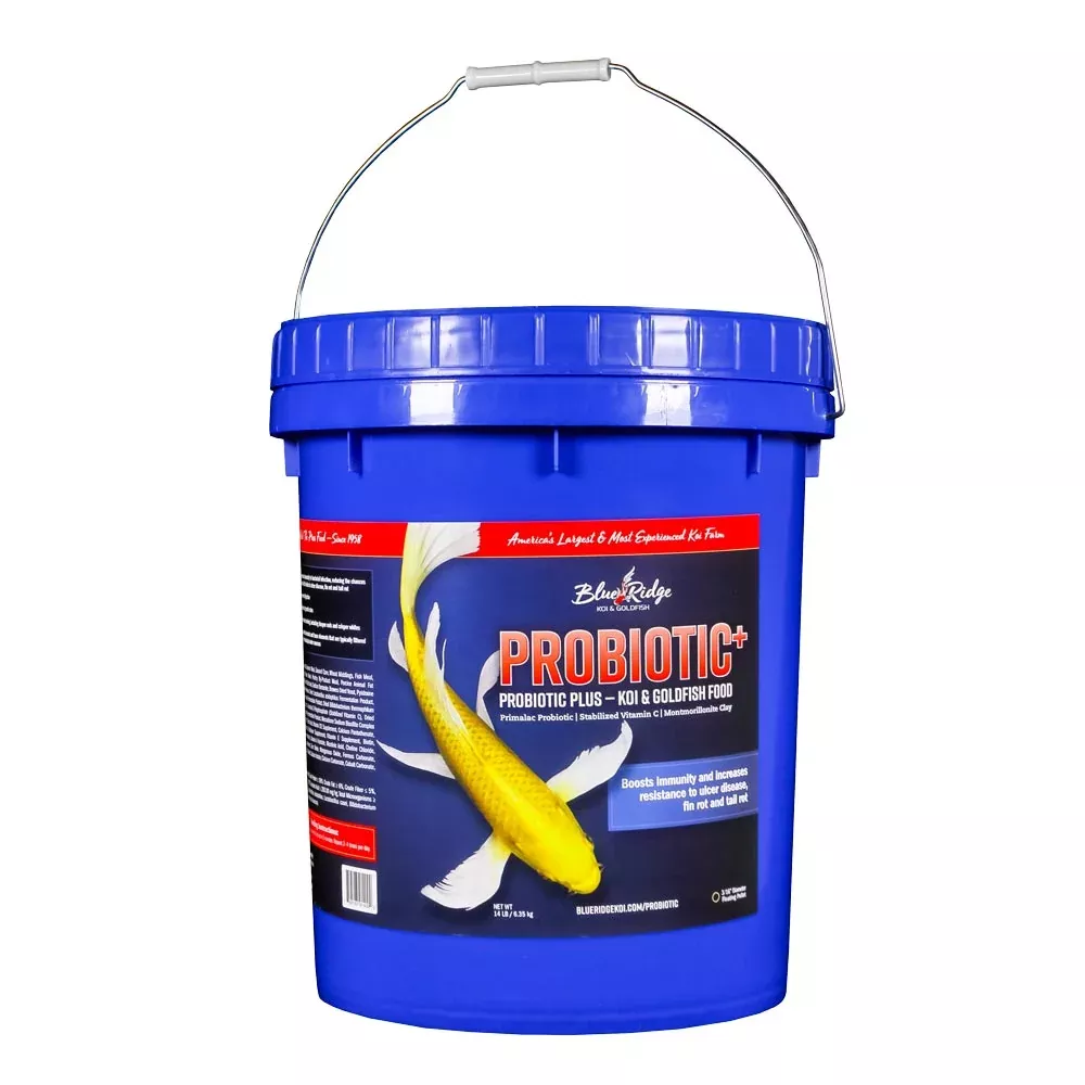 Blue Ridge Probiotic Plus Koi & Goldfish Food Pellet
