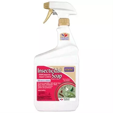 Bonide Insecticidal Soap RTU BFG