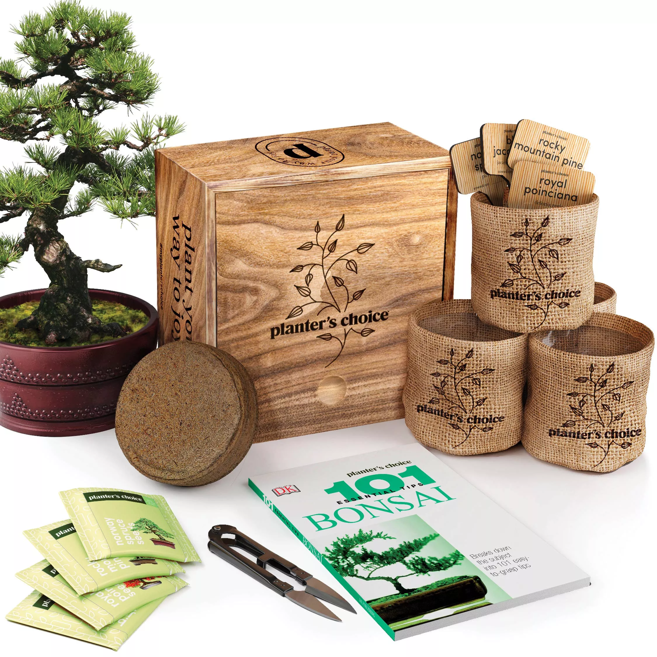 Bonsai - Deluxe Starter Kit