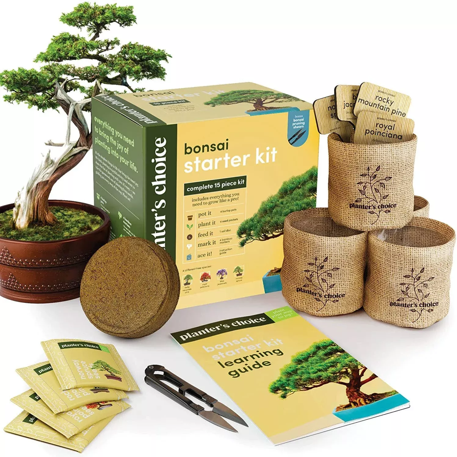 Bonsai - Starter Kit
