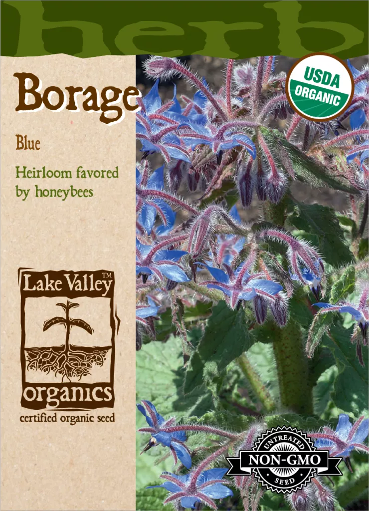 Borage – Item #4537
