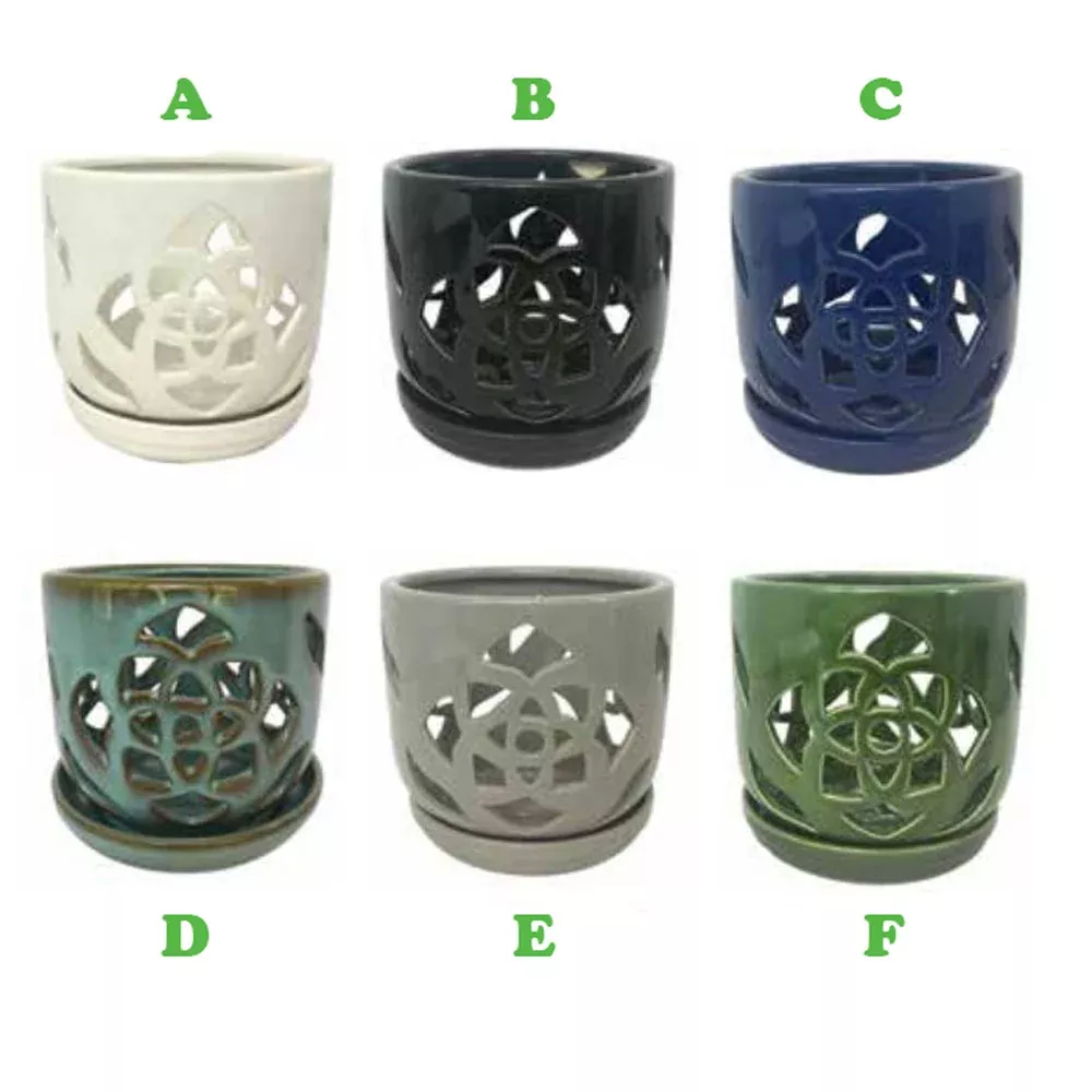 Border Concepts, 5.25" Orchid Pot w/ Saucer, Assorted and Sold Separately