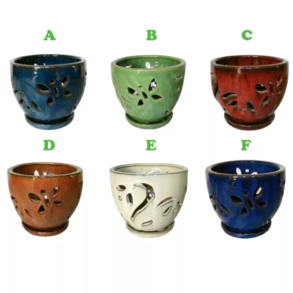 Border Concepts, 5.75" Butterfly Orchid Pot, Assorted Colors