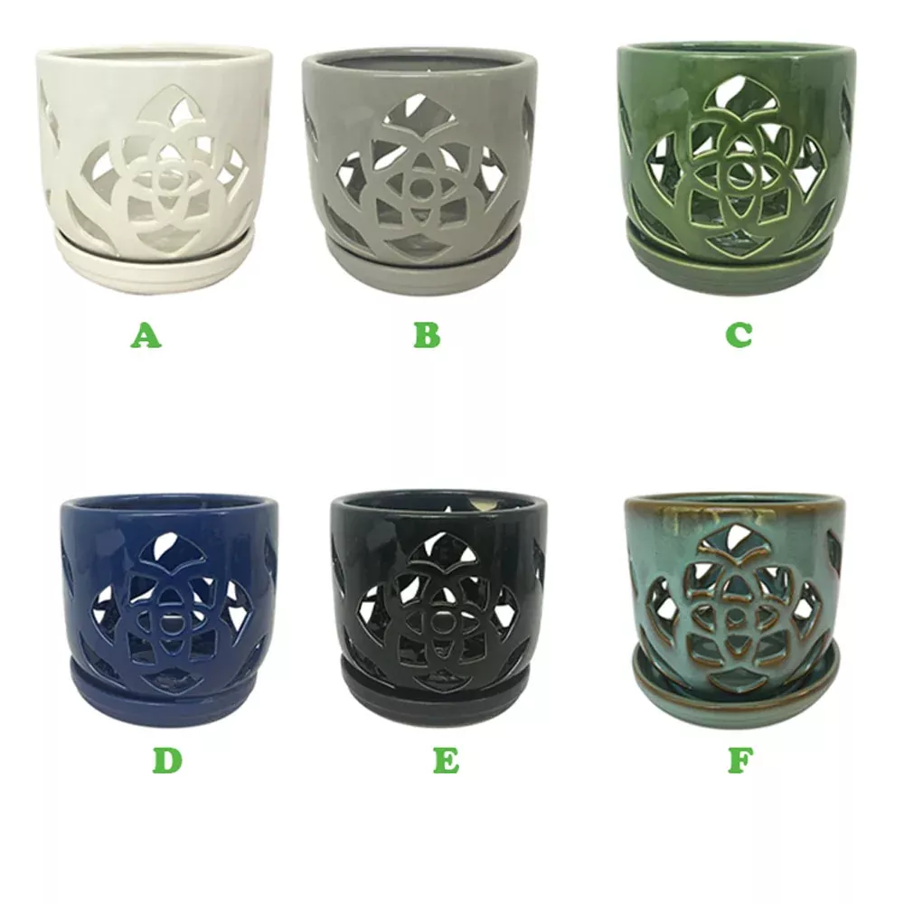 Border Concepts, Orchid Pot w/ Saucer, 6.5", Assorted and Sold Separately