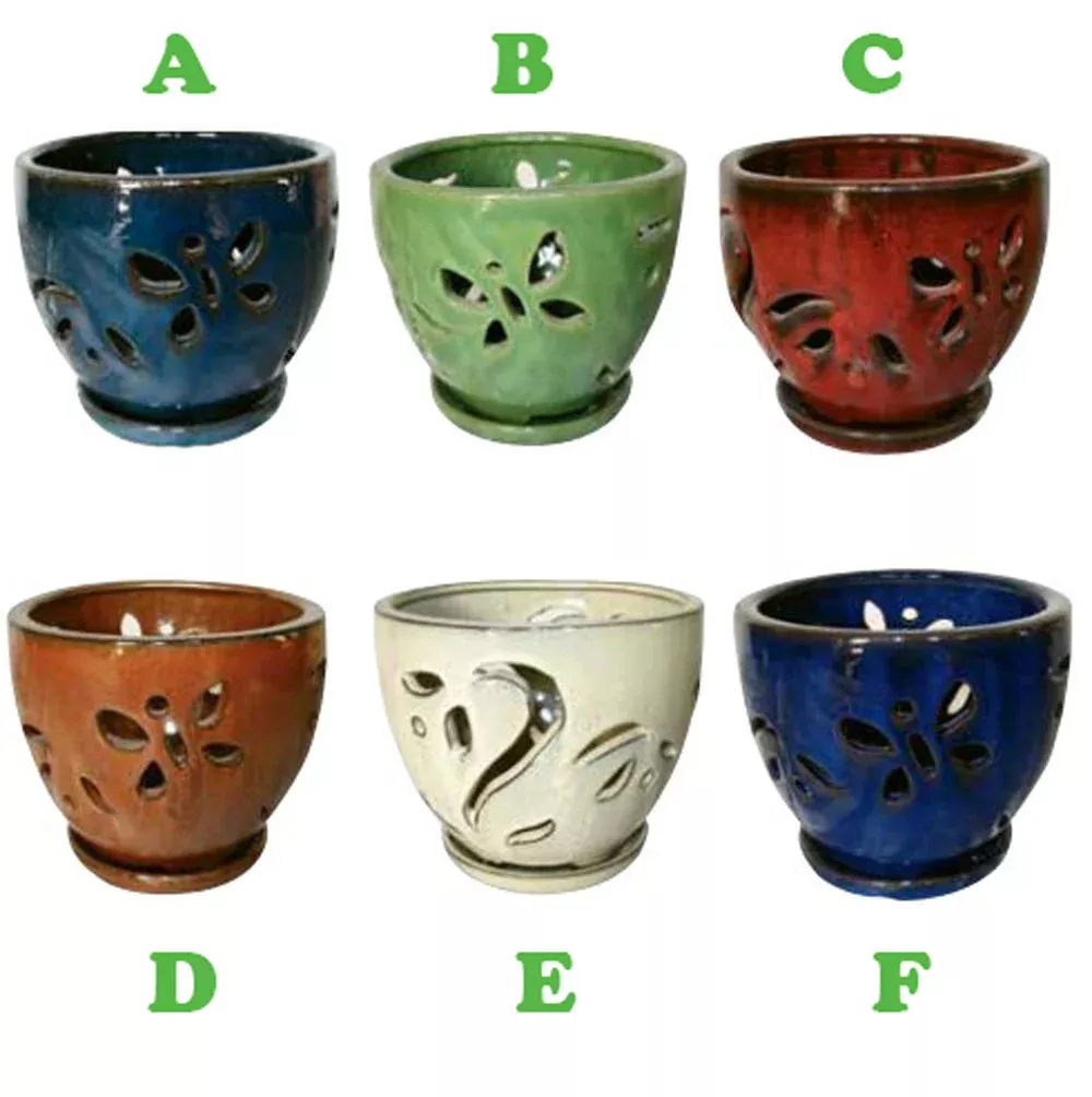 Border Concepts, Orchid Pot w/ Saucer, 7", Assorted and Sold Separately