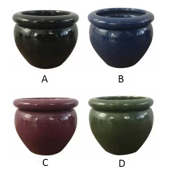 Border Concepts, Self-Watering Round Pot, 4.75", Assorted and Sold Separately
