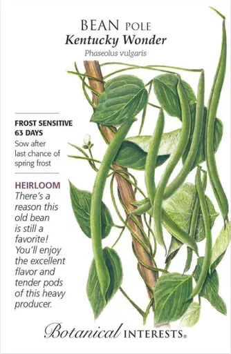 Botanical Interests Bean Pole Kentucky Wonder