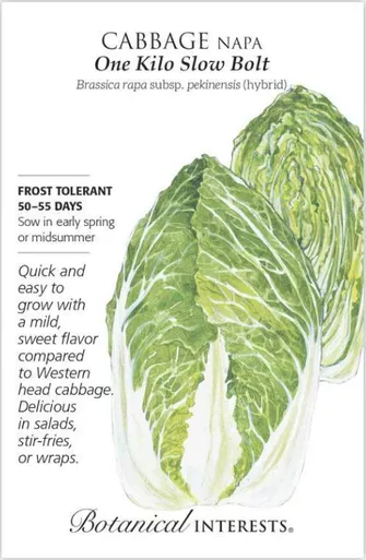 Botanical Interests Cabbage Napa One Kilo hybrid