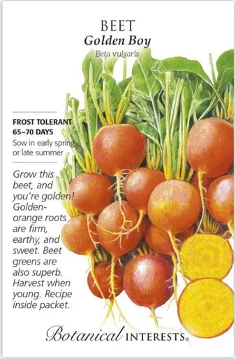 Botanical InterestsBeet Golden Boy