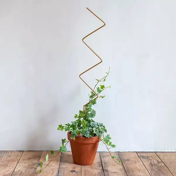 Botanopia - Golden Plant Stake from Metal - Zigzag - Zigzag_R