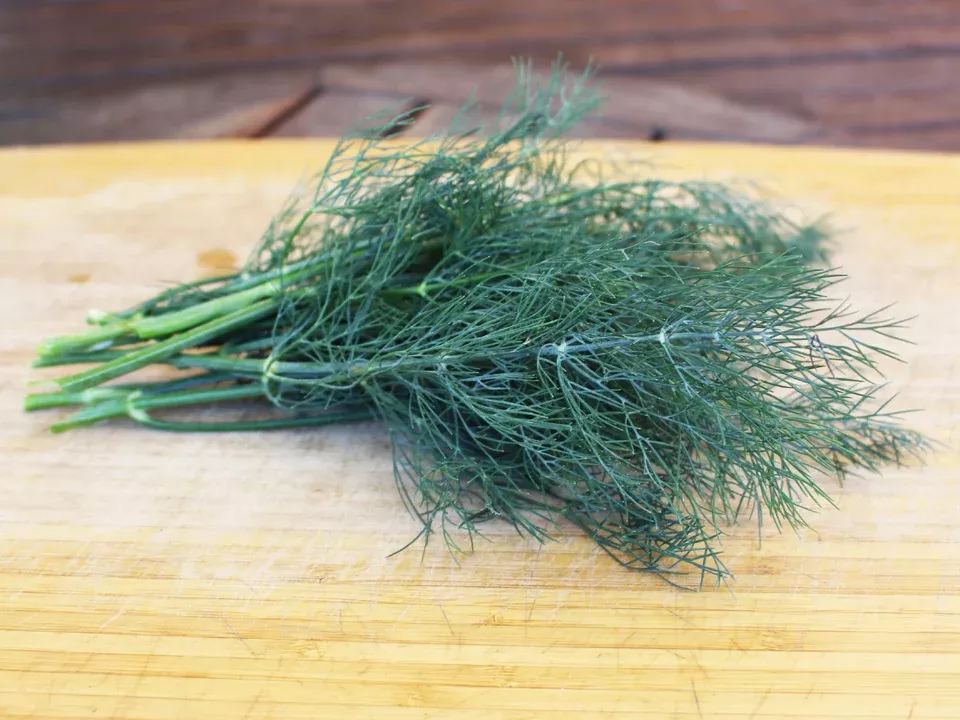 Bouquet - Organic Dill Seeds