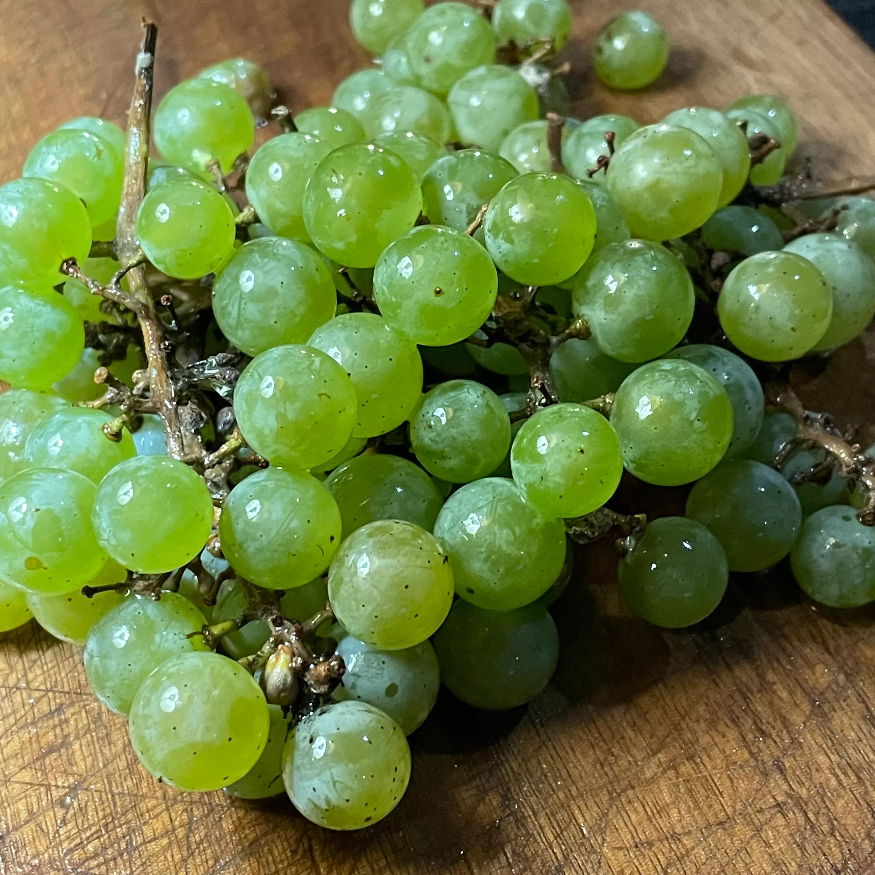 Brianna Grape