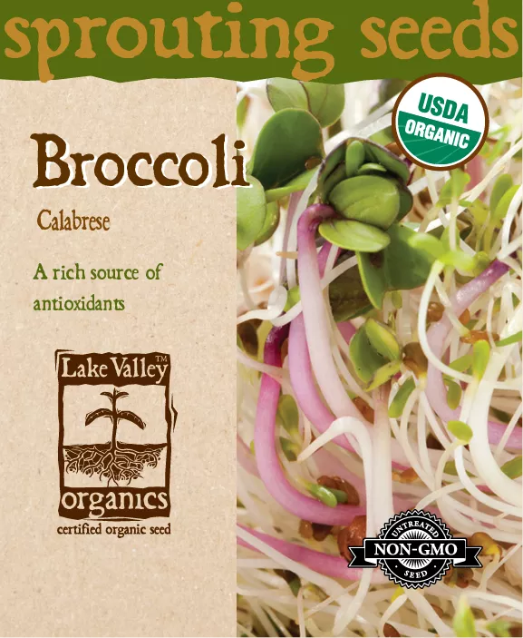Broccoli Calabrese – Item #4370