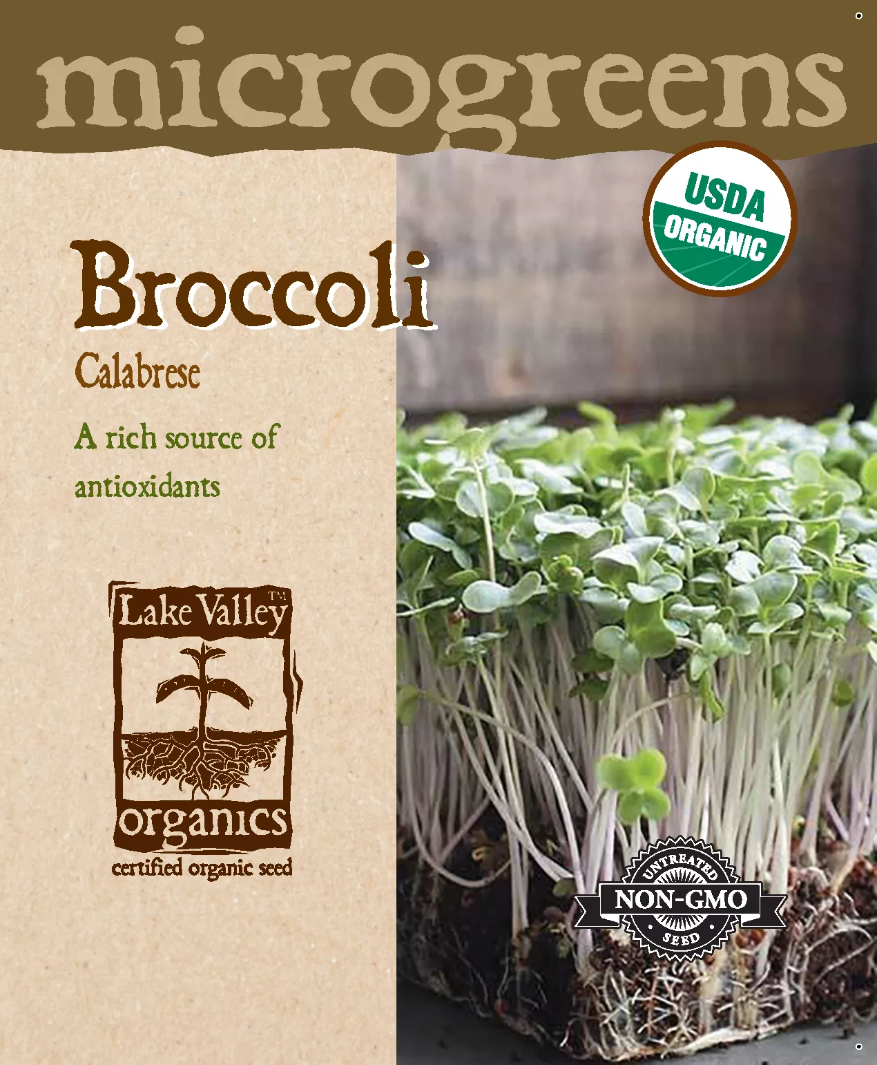 Broccoli Calabrese – Item #4731