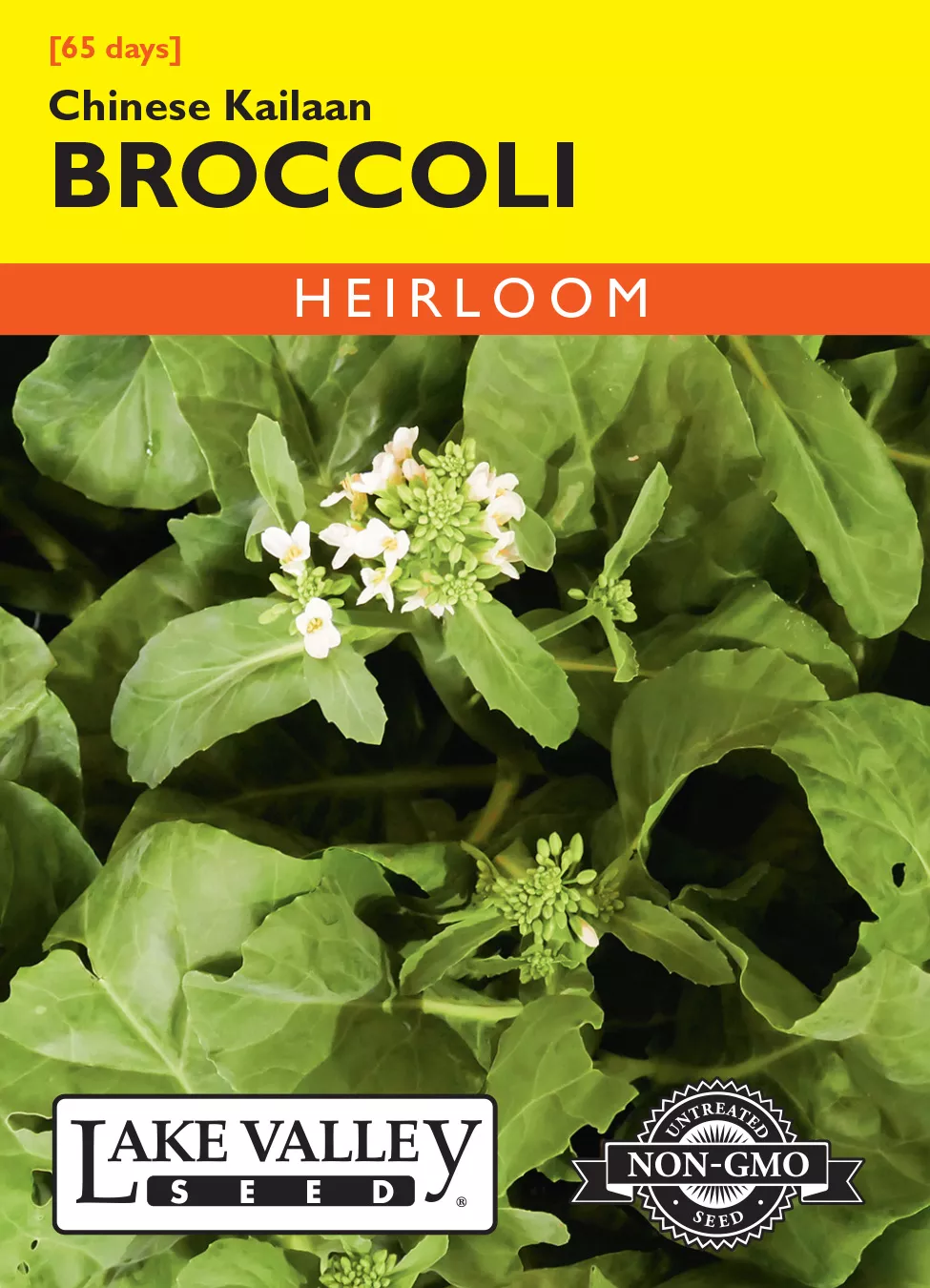 Broccoli Chinese Kailaan – Item #4080