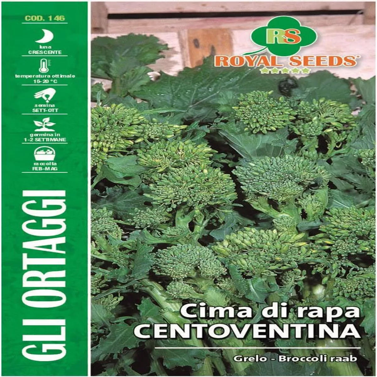 Broccoli Raab Centoventina Royal Seed RYM81/9