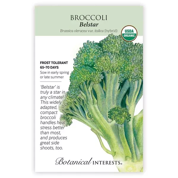 Broccoli seeds 'Belstar Hybrid'