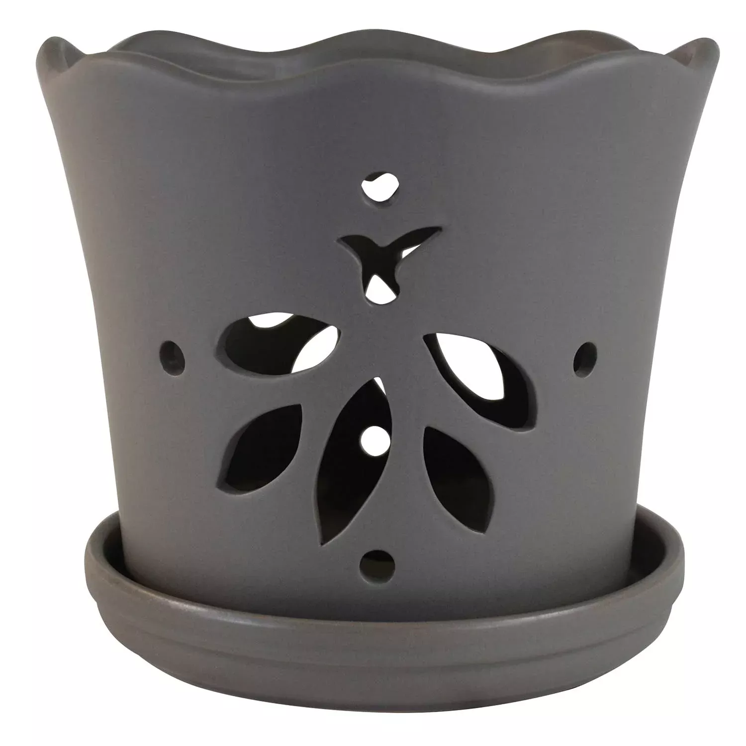 Butterfly Orchid Pot, 5"