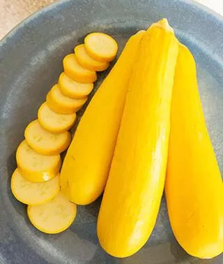 Butterstick Hybrid Squash - 4" pot