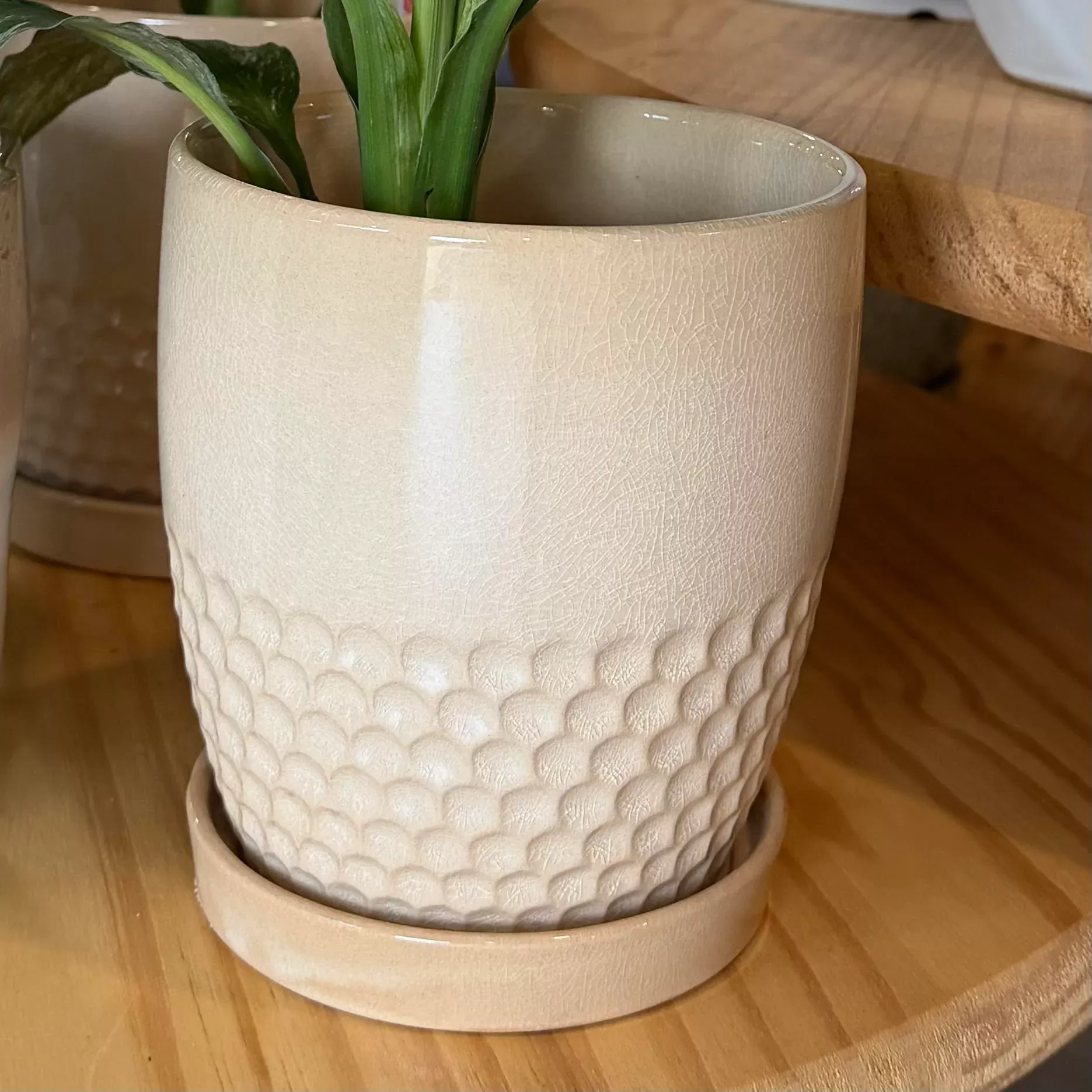 Cabana Planter