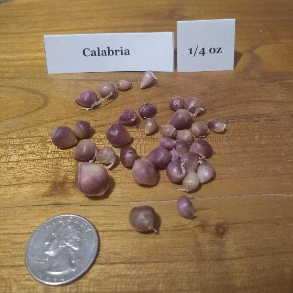 Calabria