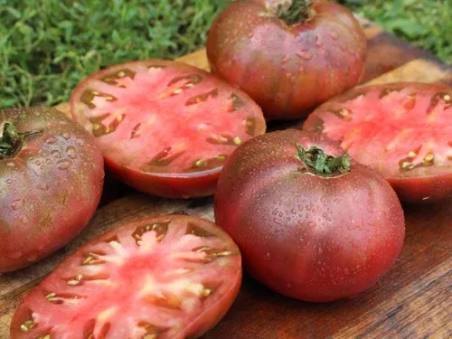 Carbon Tomato Seeds