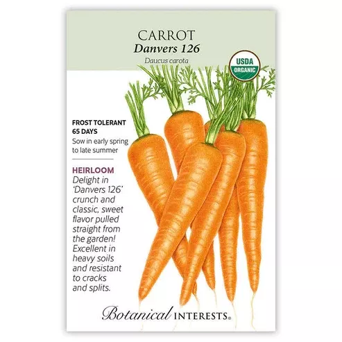 Carrot 'Danvers'