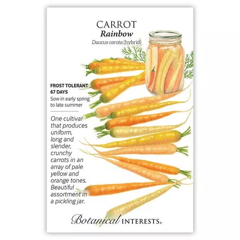 Carrot 'Rainbow Hybrid'
