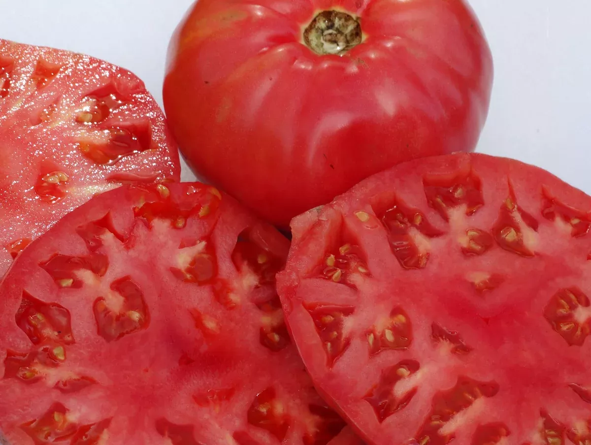 Caspian Pink Tomato
