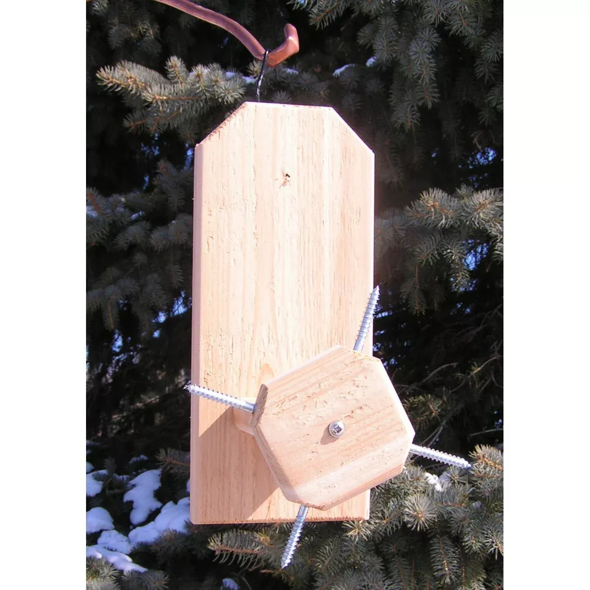 Cedar 4 Cob Squirrel Feeder