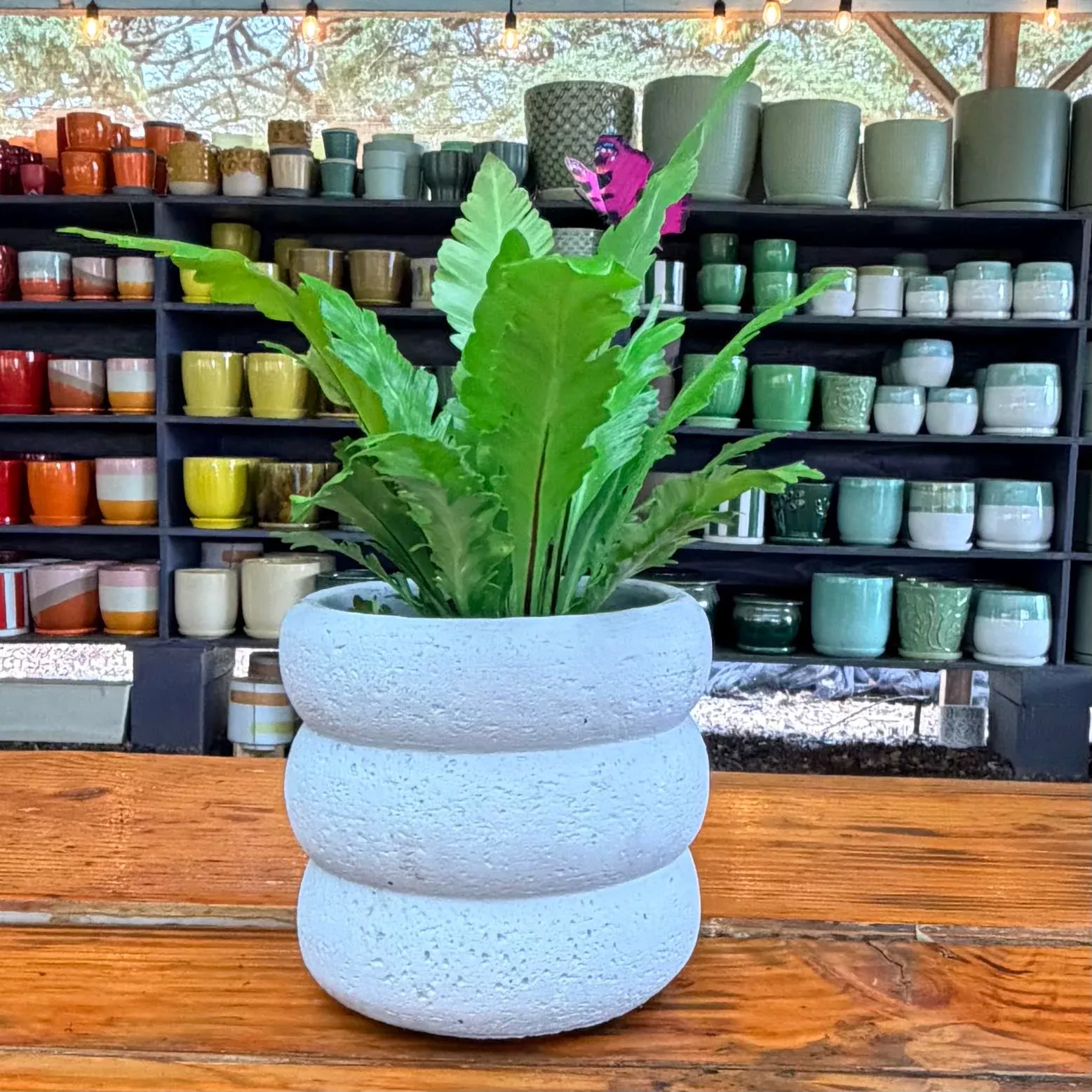 Cement Ripple Planter