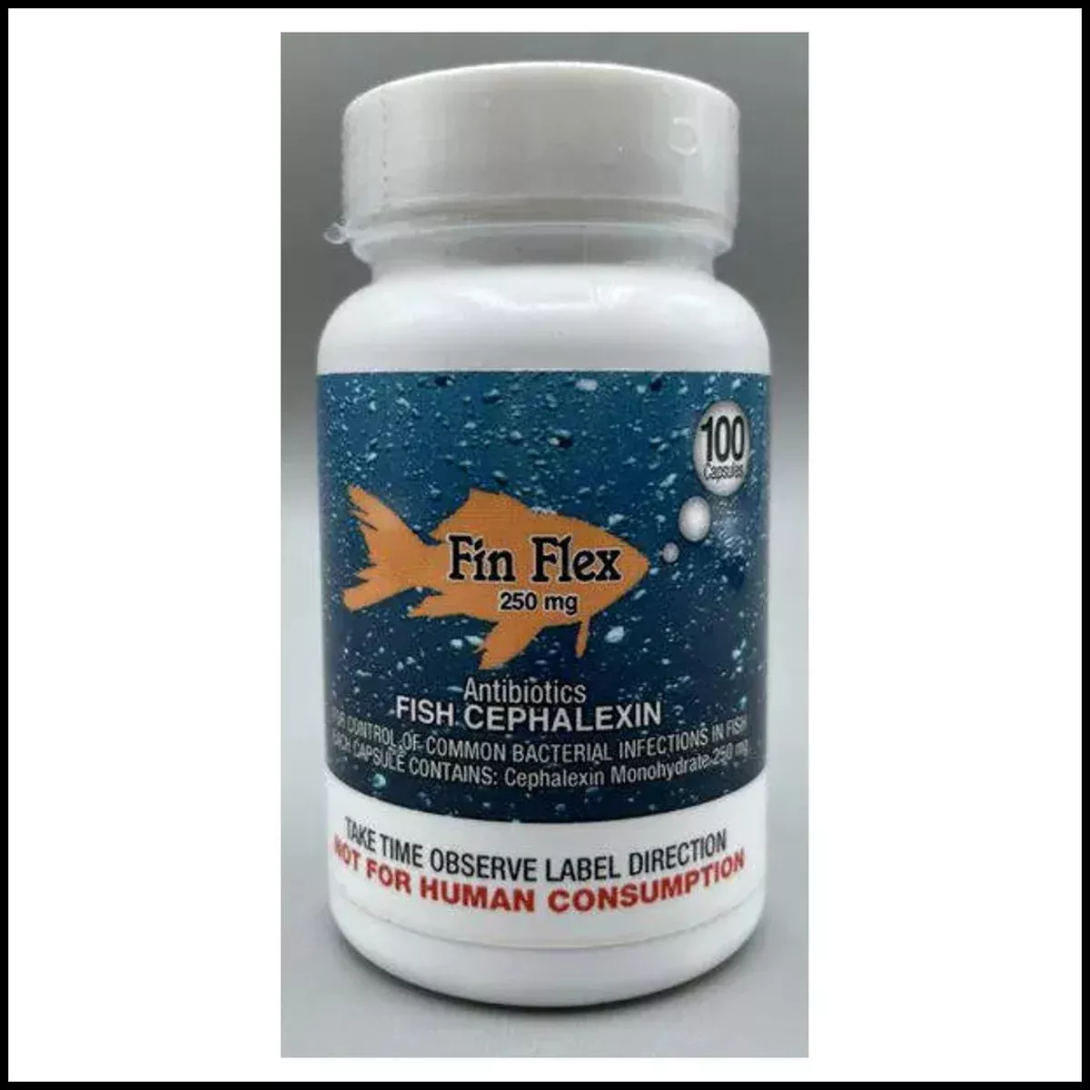 Cephalexin 250 mg Antibiotic 30 count Fish Flex