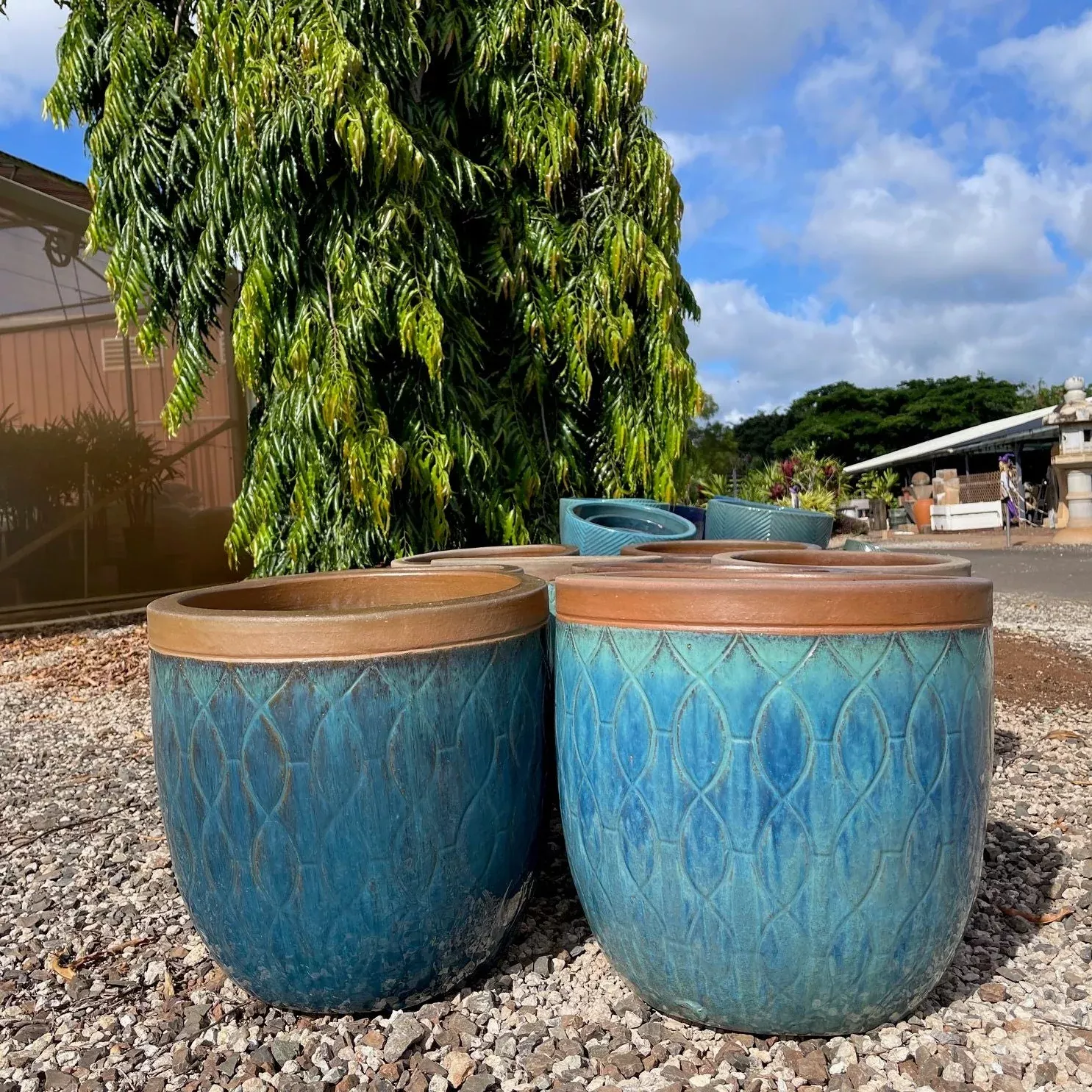 Cerulian Braided Planter