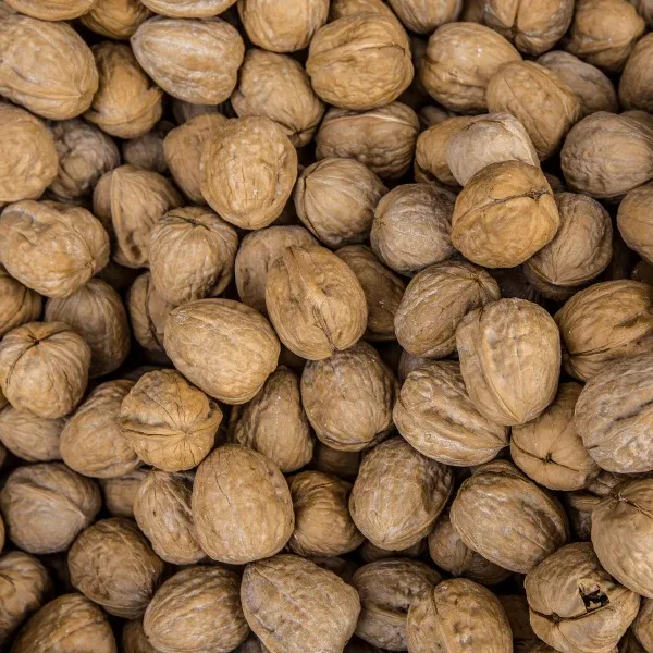 Chandler Walnut Tree