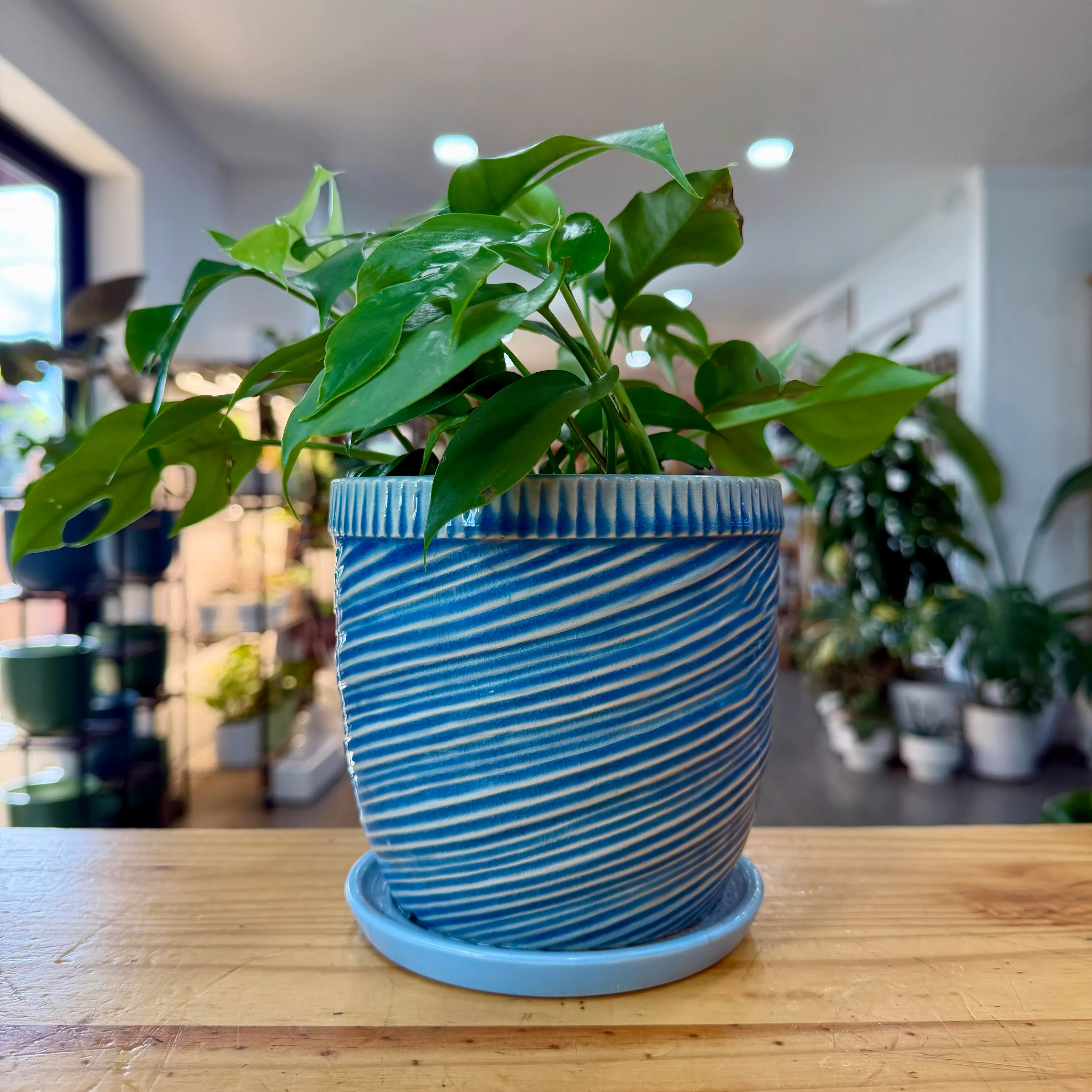 Chester Planter