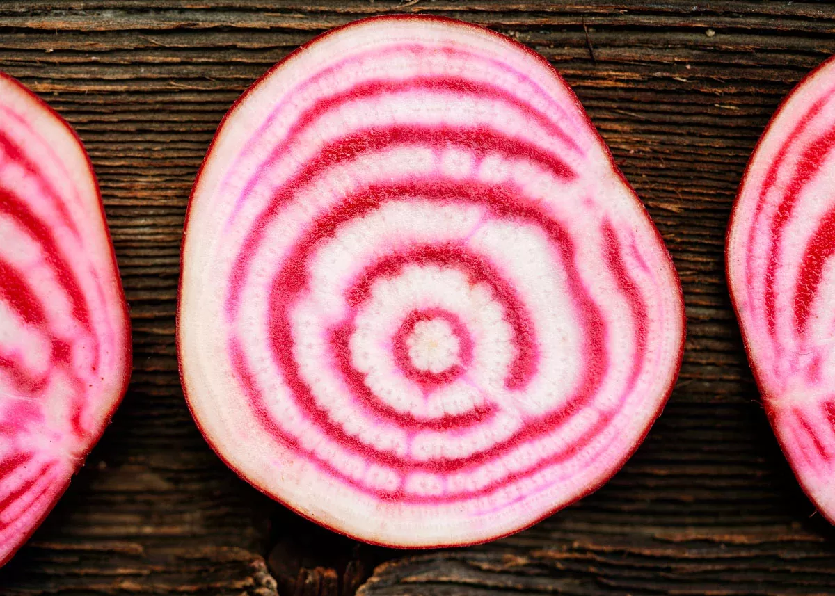 Chioggia - Organic Beet Seeds