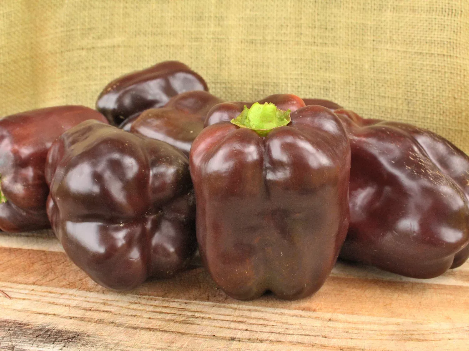 Chocolate Cake Organic Sweet Bell Pepper Seeds