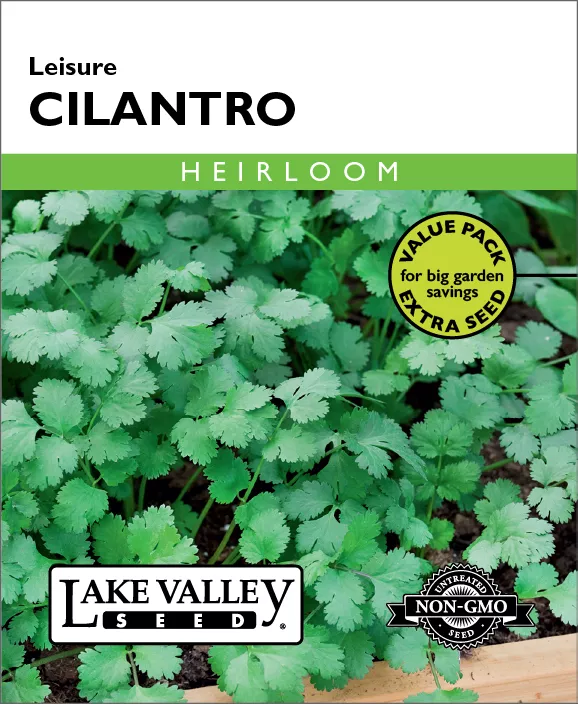 Cilantro Leisure – Item #664