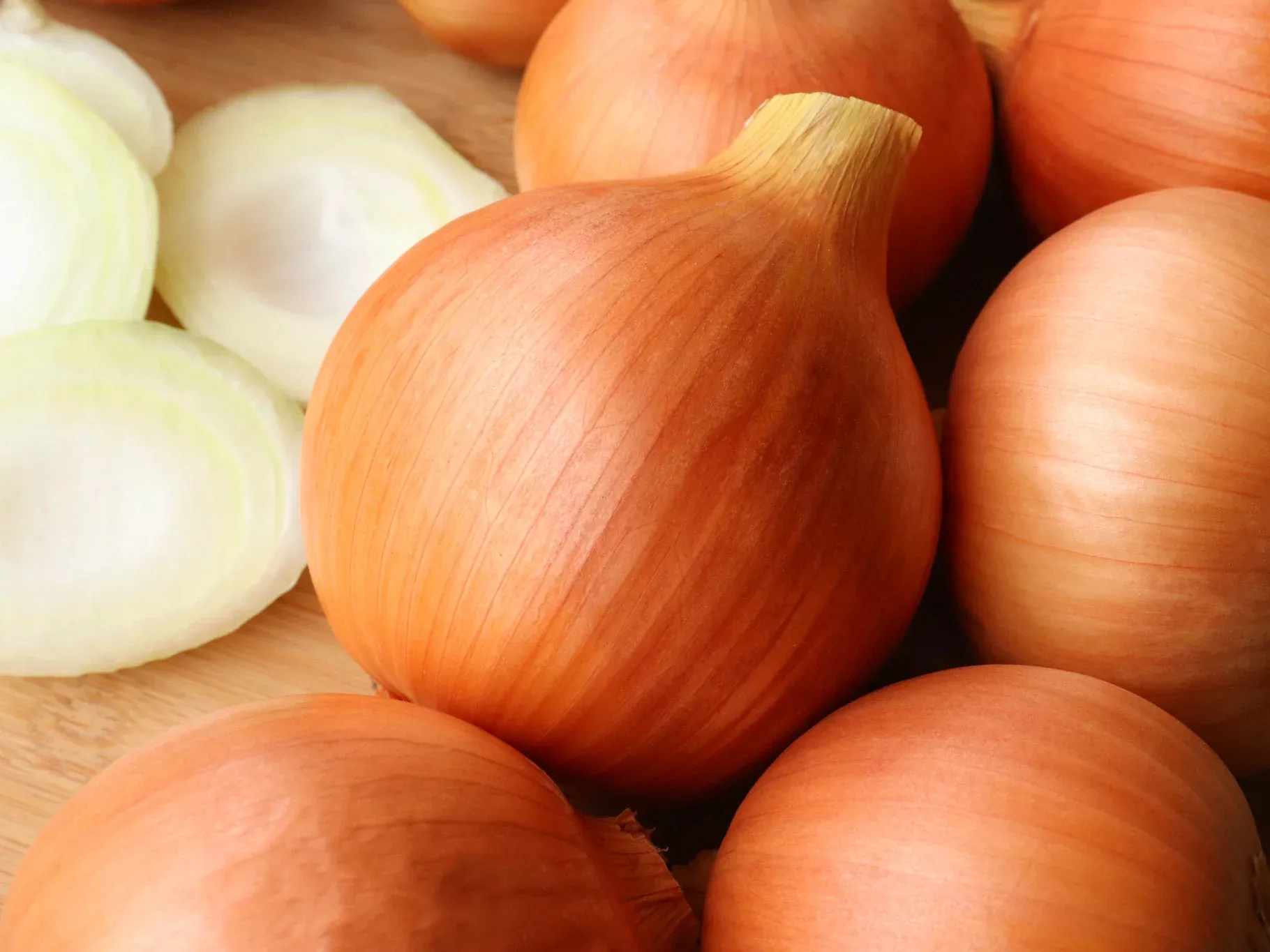 Clear Dawn Organic Onion Seeds