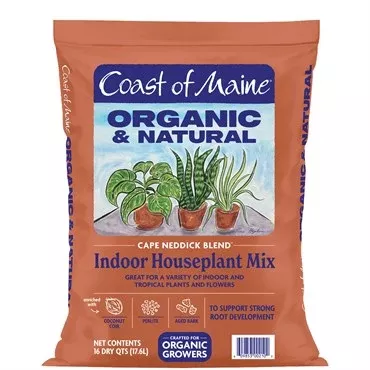 Coast of Maine Indoor Houseplant Mix BFG