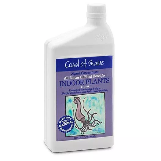 COAST OF MAINE SQUID 1 QT INDOOR PLANTS 2-3-0 CONC81600034